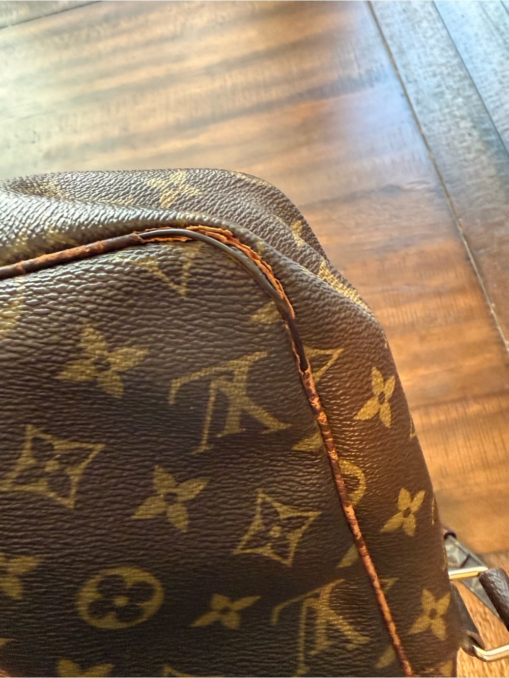Louis Vuitton Monogram Crossbody Bag - Picture 7 of 12